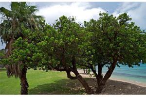 Beautiful Ground Floor! Corner! Just Steps To Ocean And Pool!120 Hotel Napili-Honokowai Exterior foto